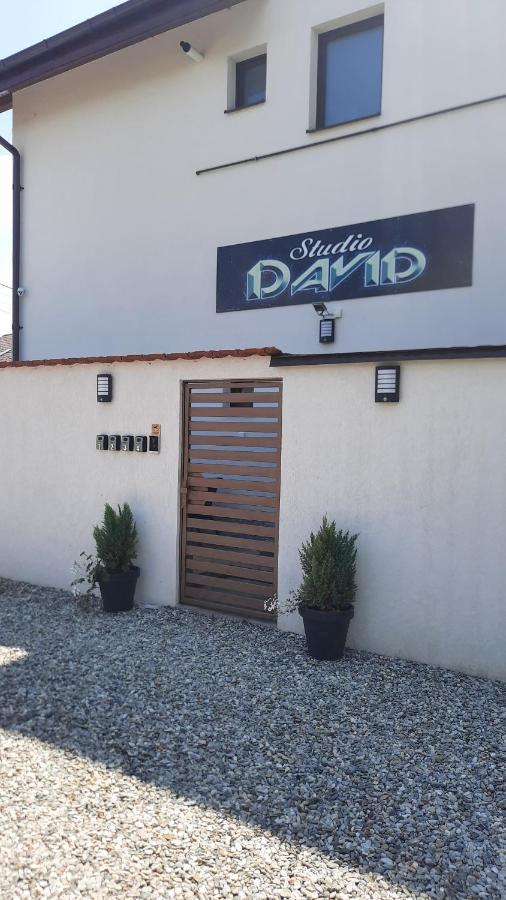 *Studio David* Sibiu Exterior foto
